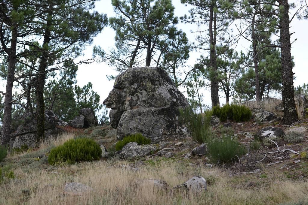 Terra Mista Alojamento Local Gouveia  Bagian luar foto